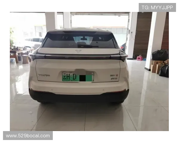 u投平台的优势与劣势，你了解多少？